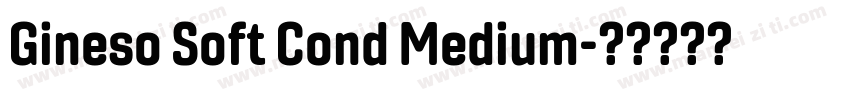 Gineso Soft Cond Medium字体转换